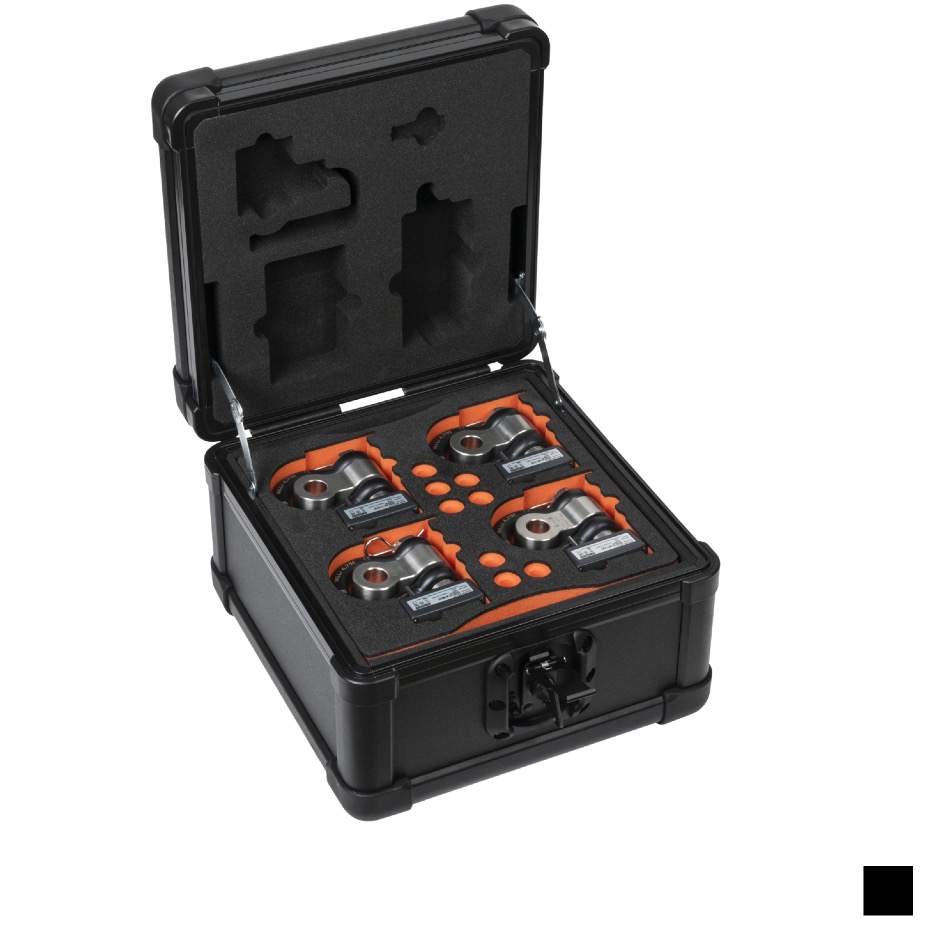 Broadweigh Flightcase small pour 8 manilles, noir
Prix indicatif. Veuillez demander une offre.